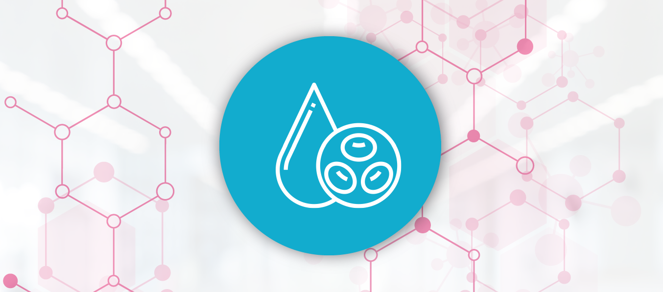 CURSO IMAGEN WEB-02