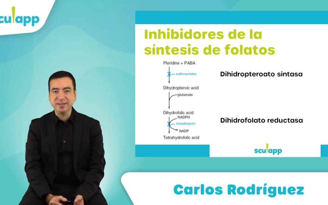 Antibióticos: Quinolonas, sulfonamidas y otros antibióticos