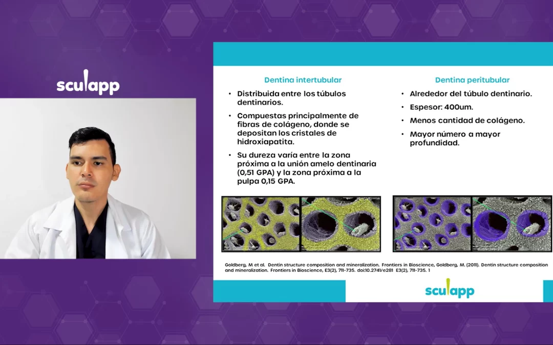 Operatoria y Adhesión Odontológica