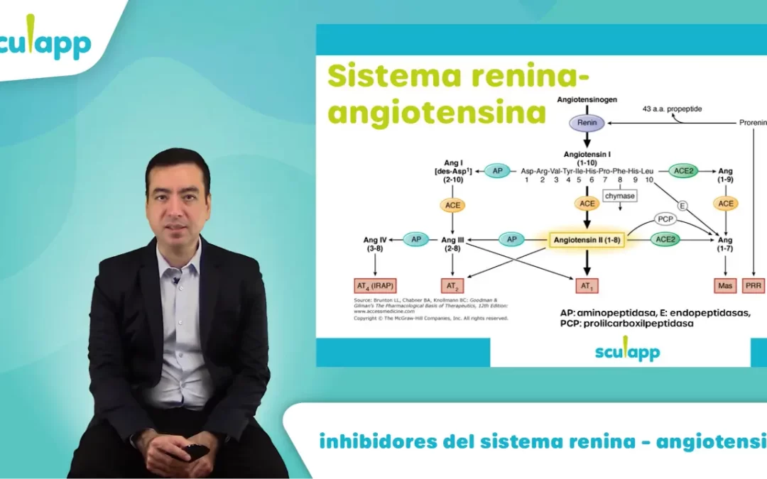 Inhibidores del sistema renina – angiotensina