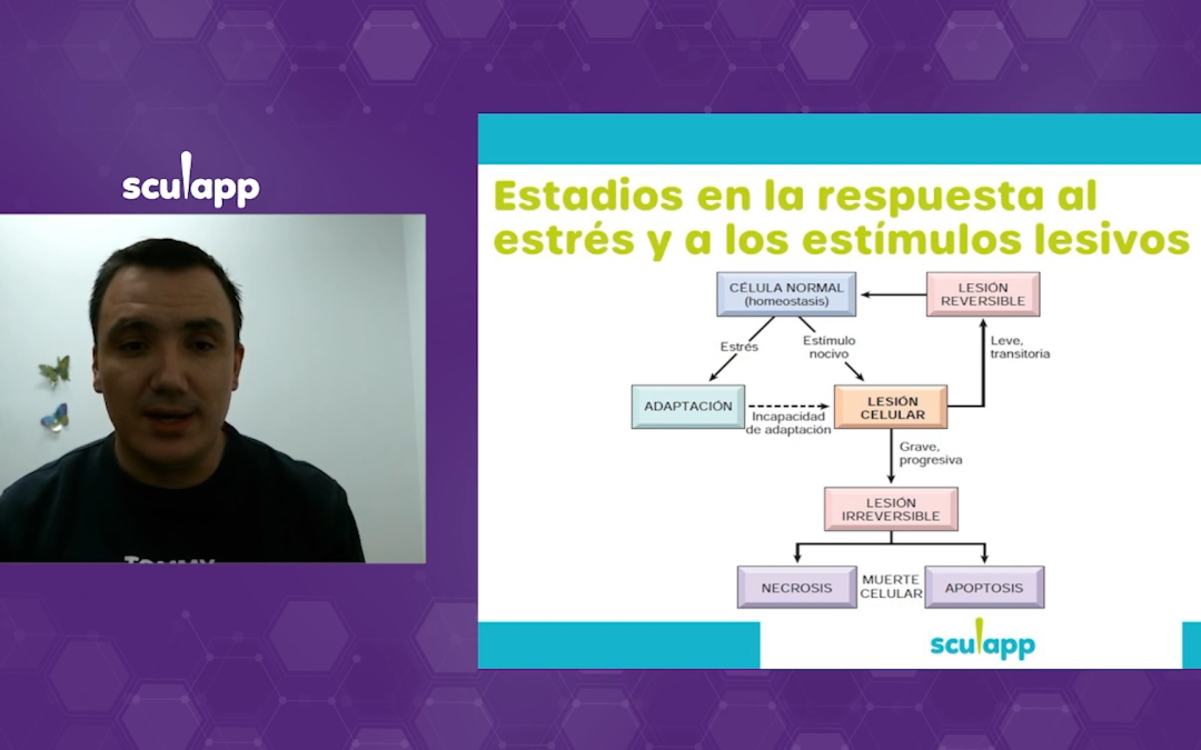 Patología Bucal